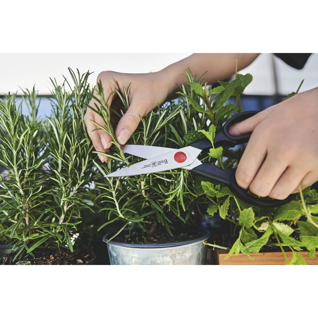 New ❤️ ZWILLING Shears & Scissors TWIN L Kitchen Shears ???? 3 New ❤️ ZWILLING Shears & Scissors TWIN L Kitchen Shears ???? - Image 3